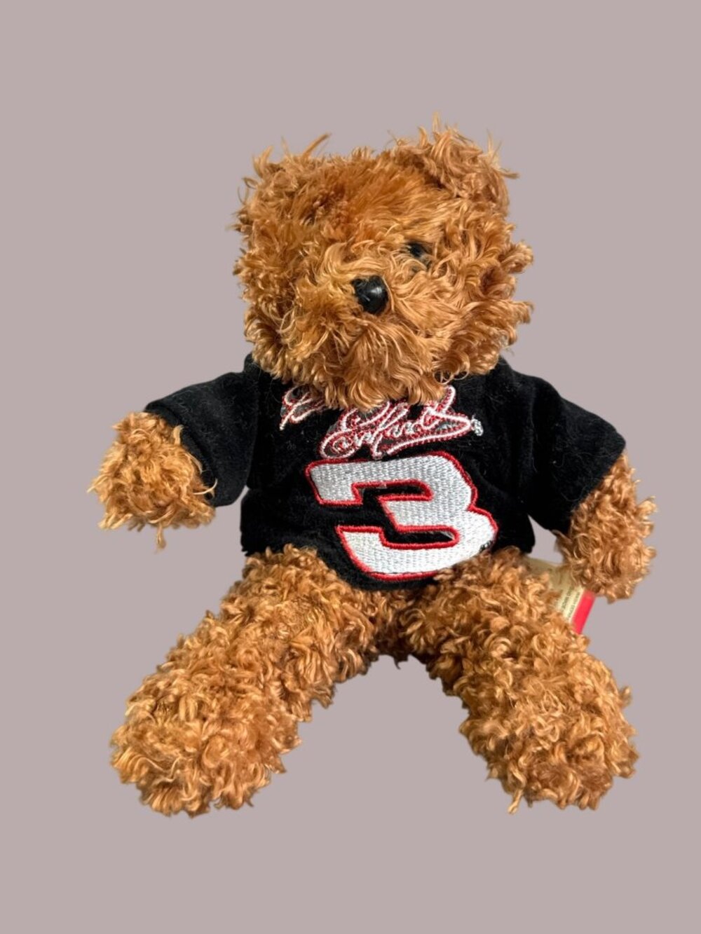 Dale Earnhardt NASCAR Teddy Bear 8" Brown Plush With Black Shirt Embroidered Num